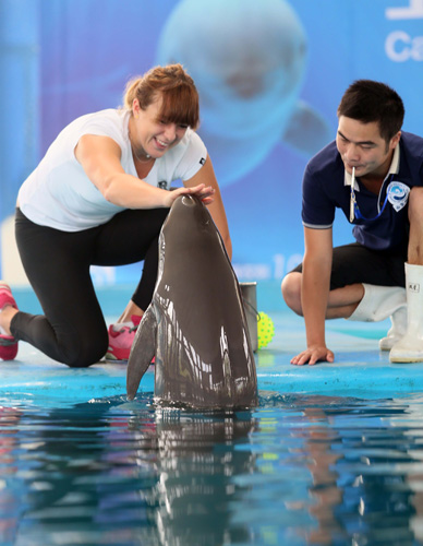 不仅是姆巴 不仅是姆巴